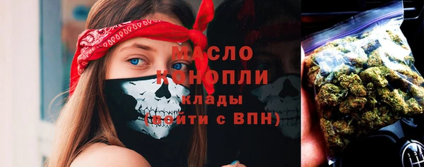 молекула духа Няндома