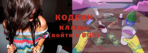 молекула духа Няндома