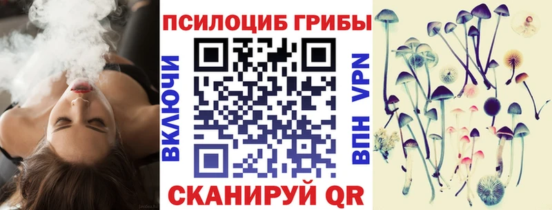 закладка  Приморско-Ахтарск  Псилоцибиновые грибы мухоморы 