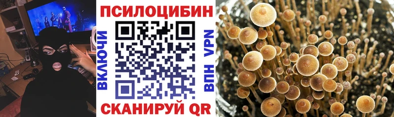 Галлюциногенные грибы прущие грибы Приморско-Ахтарск