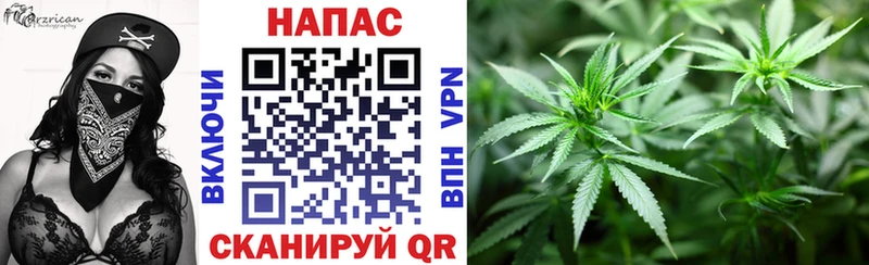 Конопля план  Приморско-Ахтарск 